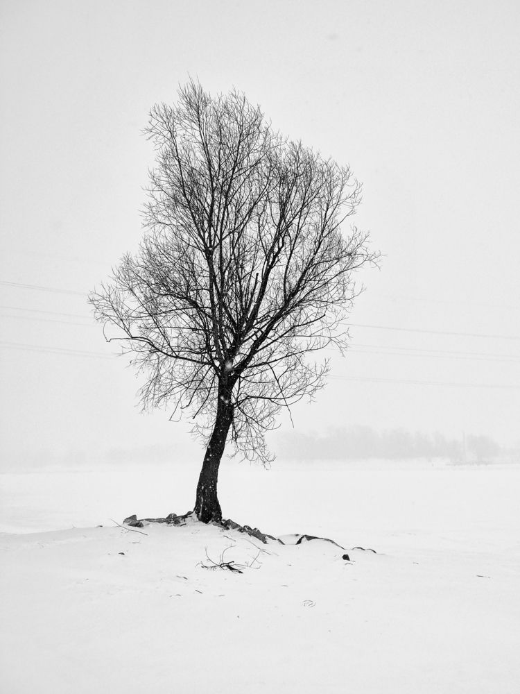 Photograph by Сергей Кесаев