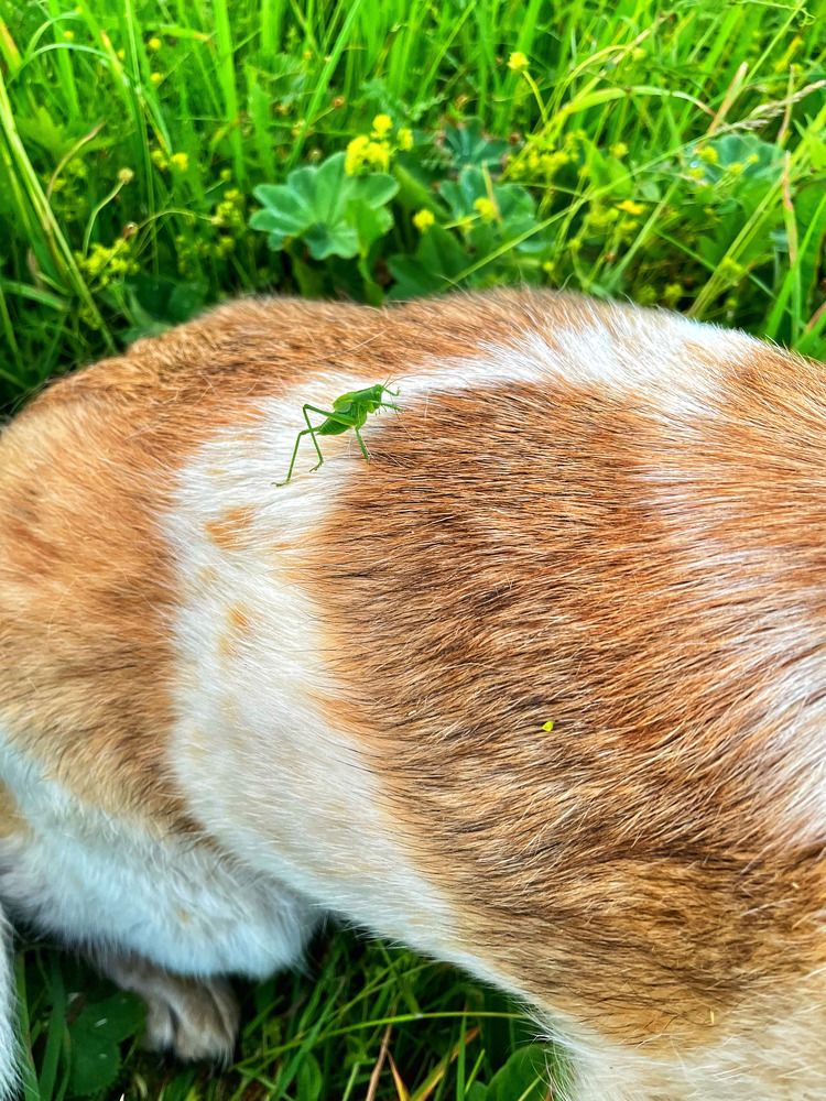 Photograph by Ирина Селиверстова