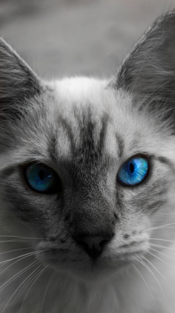 Photograph by Pietro Granieri Torres