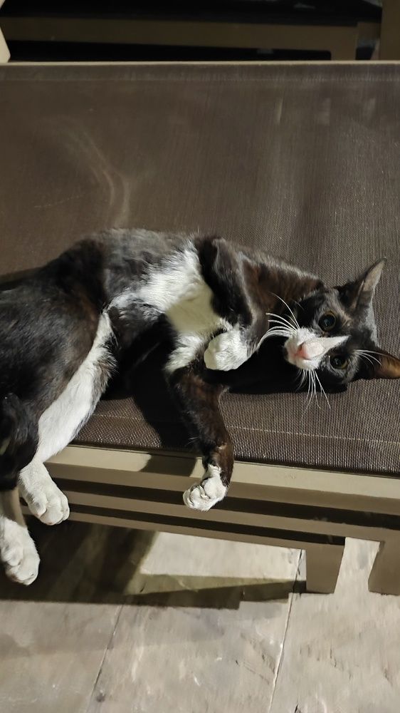 Photograph by Екатерина Александровна