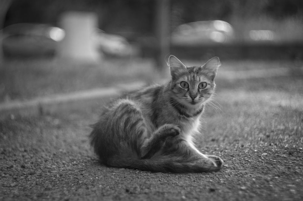 Photograph by Валерий Ворошилов