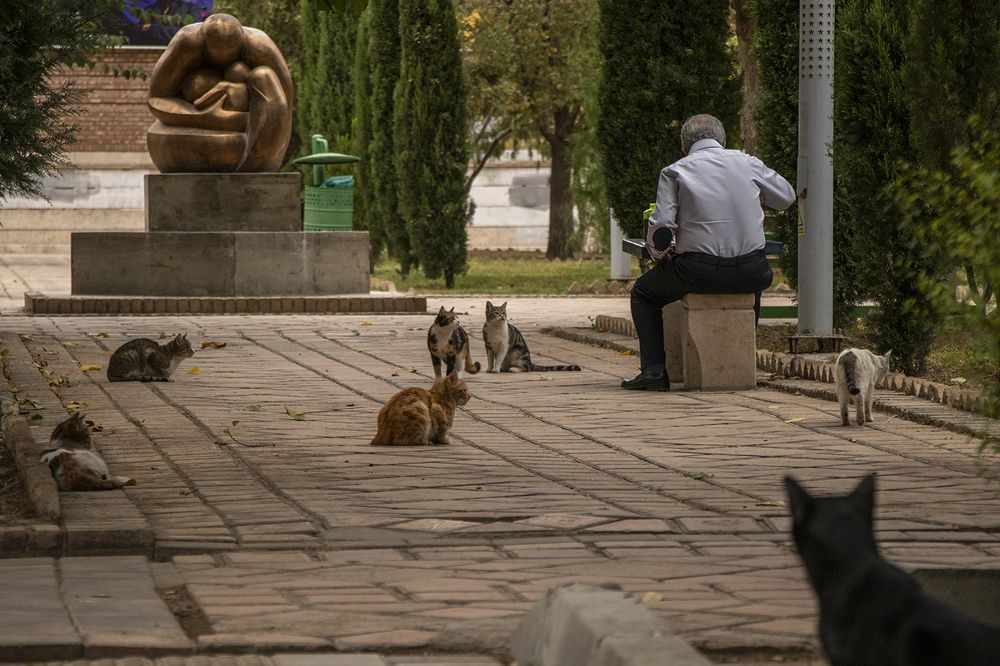 Photograph by Samira sarayani