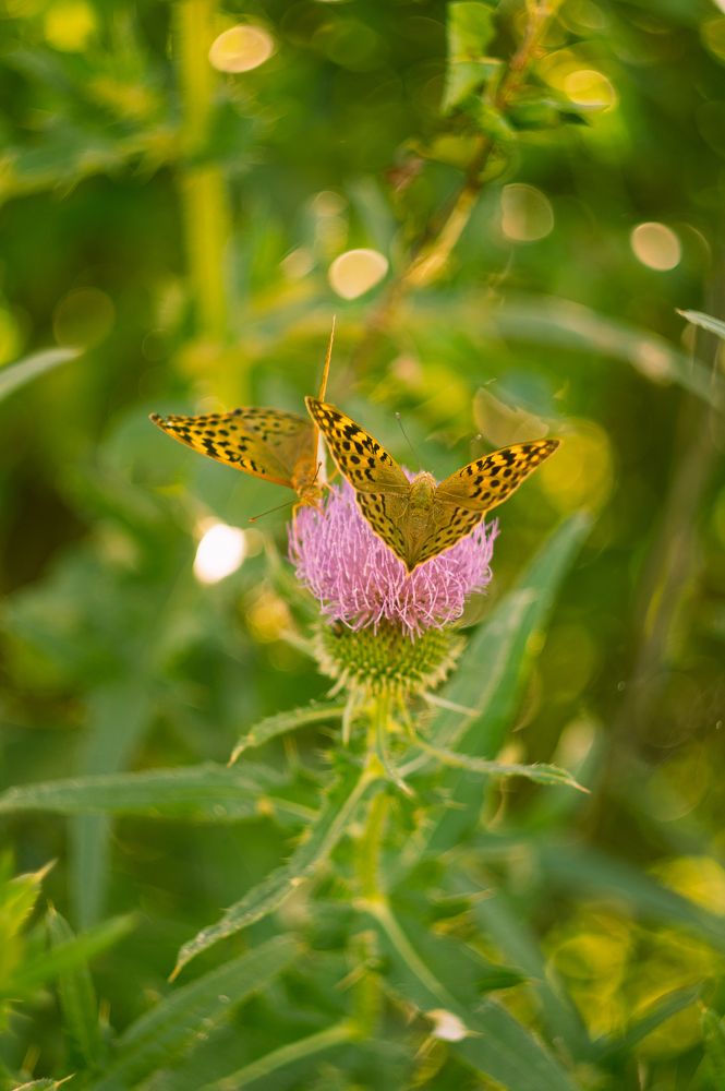 Photograph by Валерий Ворошилов