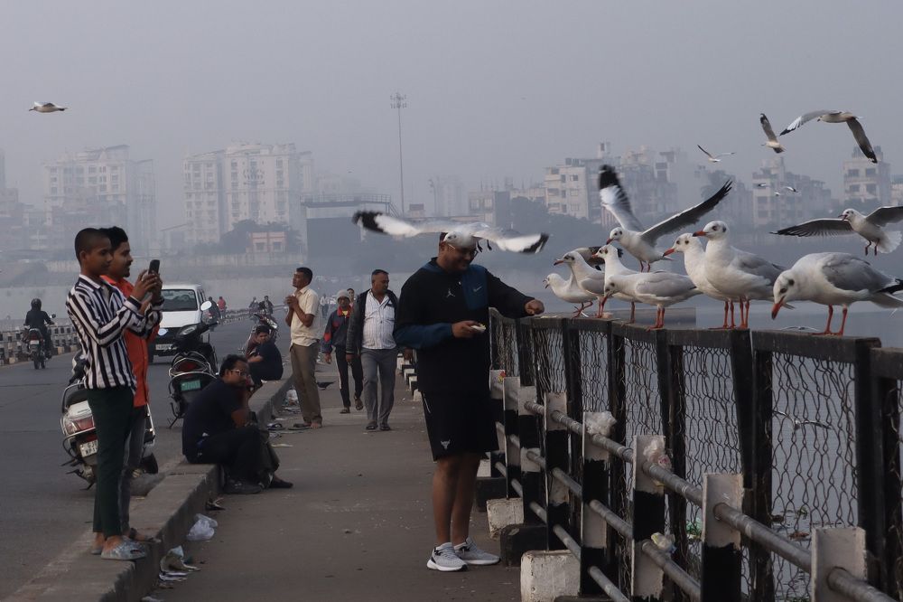 Фотография автора Kushal Lad