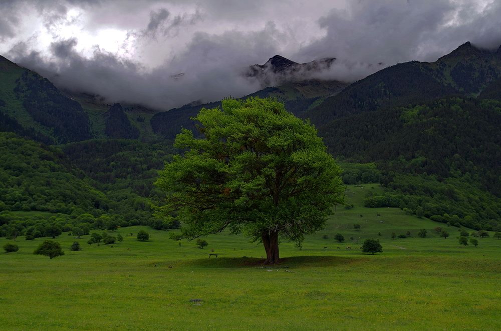 Photograph by Арсен Алабердов