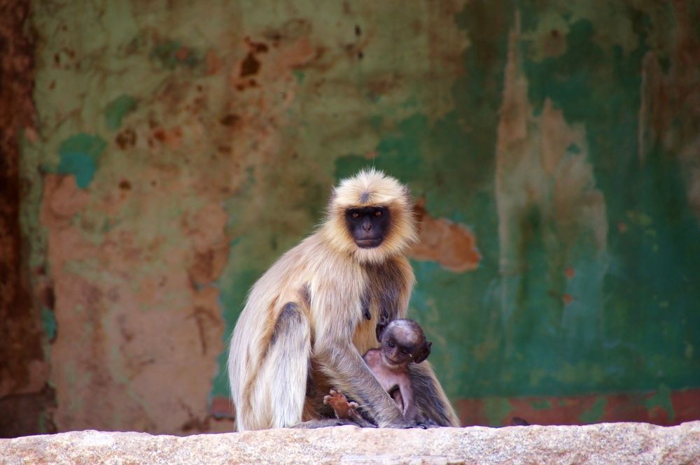 Photograph by Светлана Стрельцова