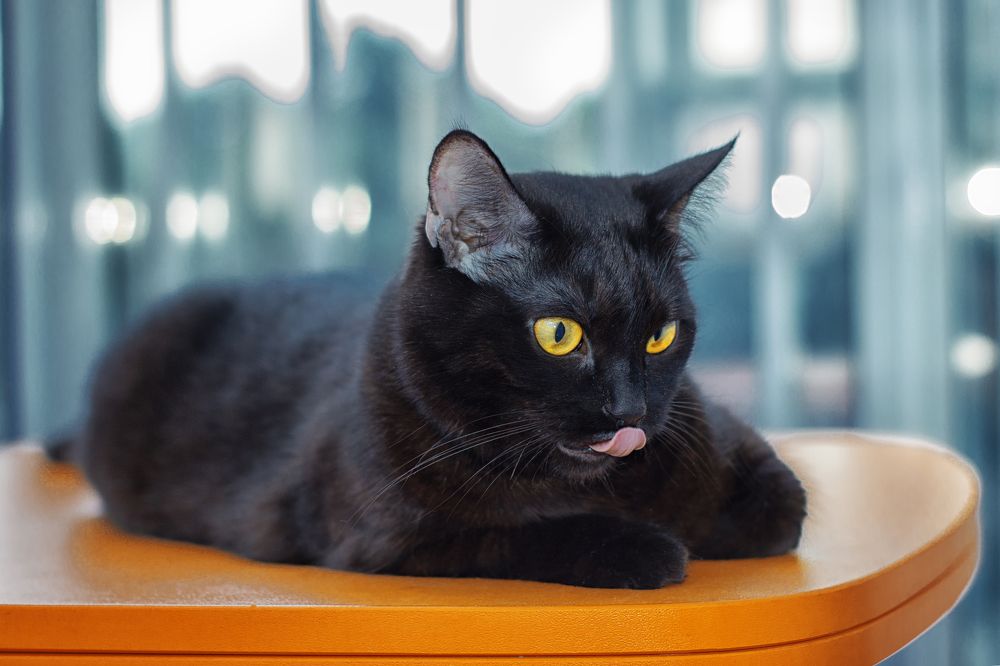 Photograph by Юлия Гетманская