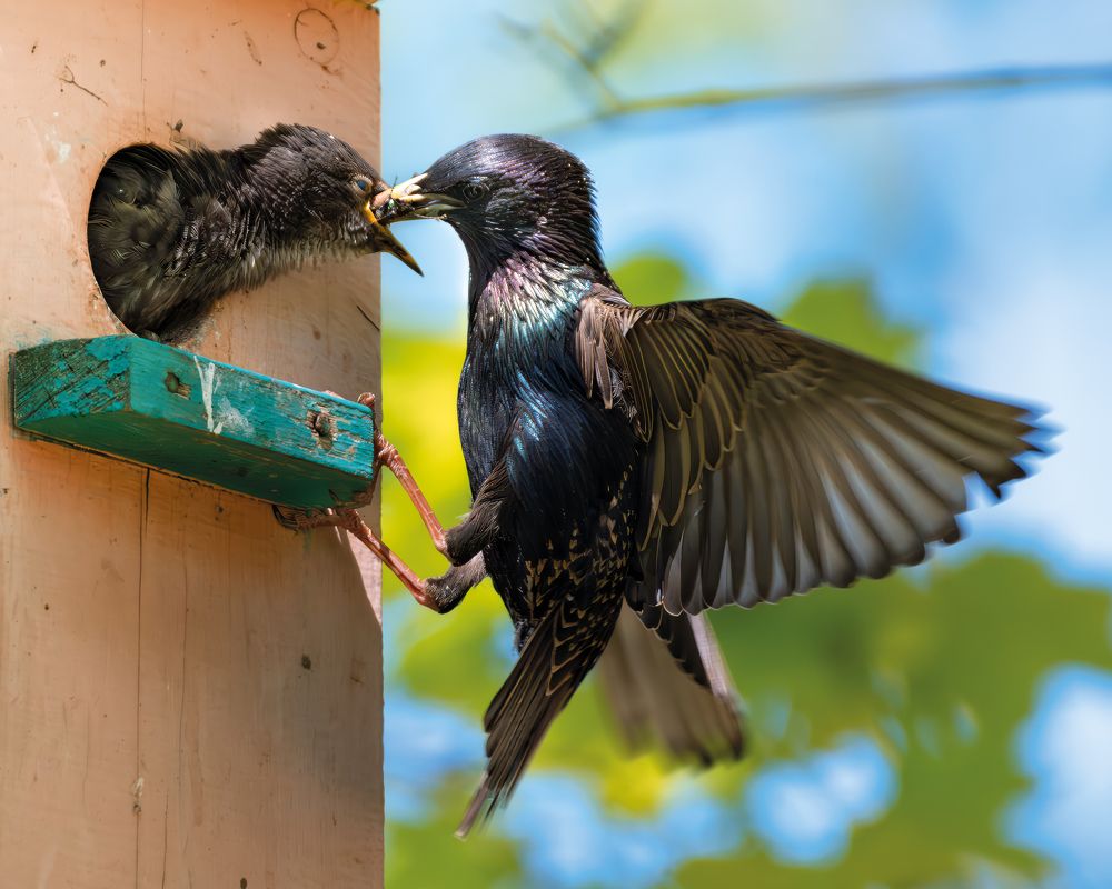 Обед по расписанию