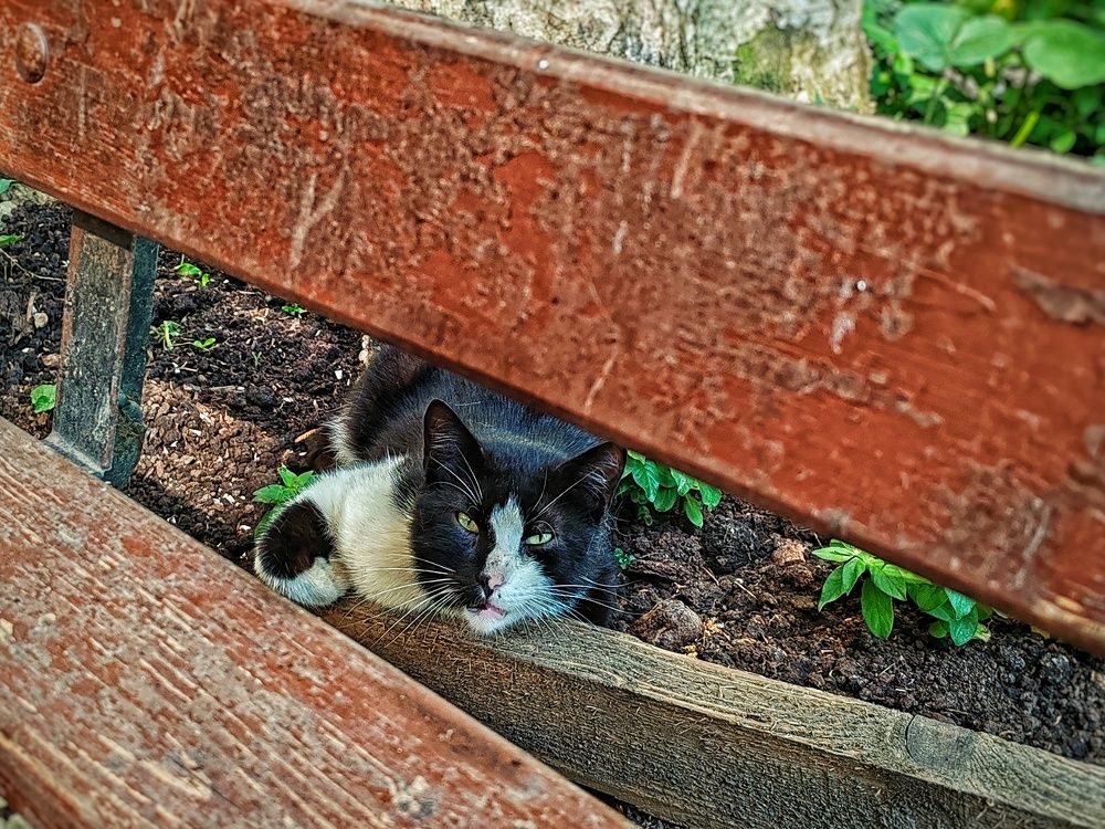 Photograph by Дайана