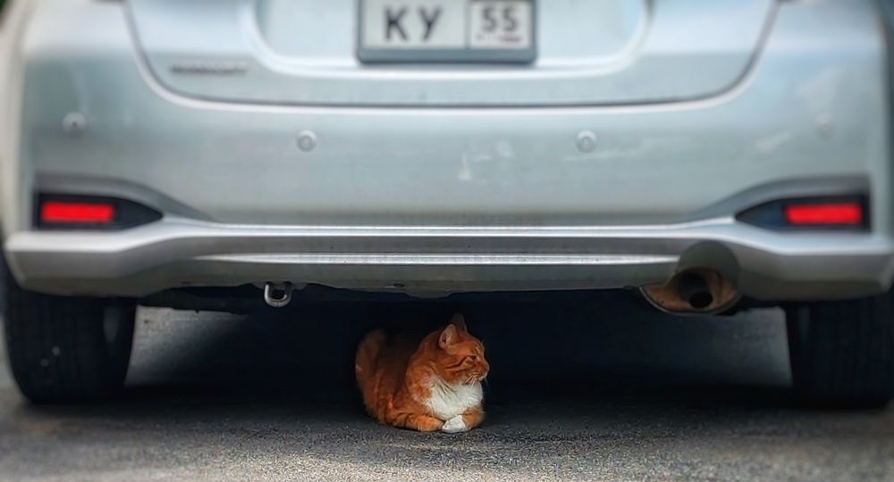 Photograph by Дайана