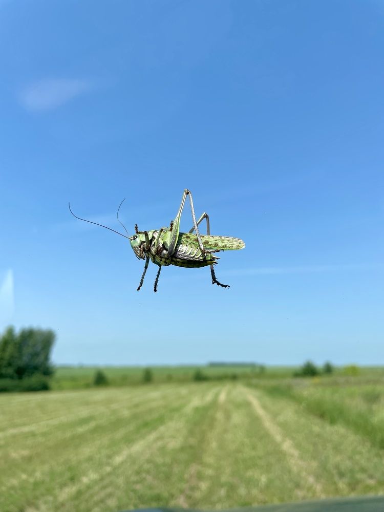 Photograph by Олег