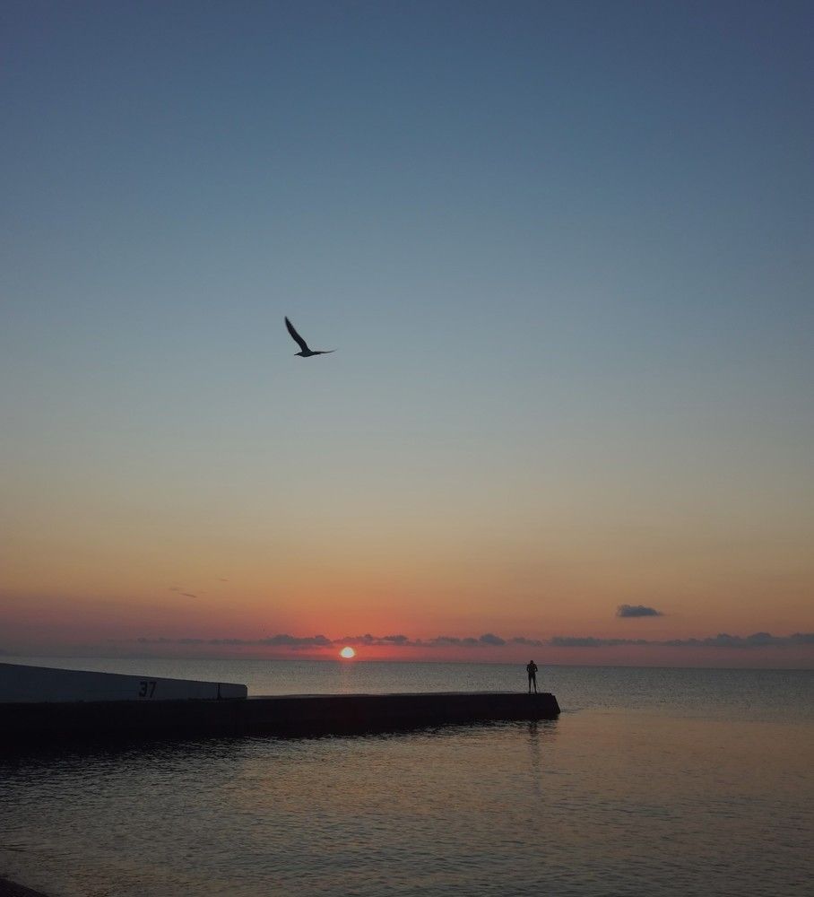 Спокойное утро