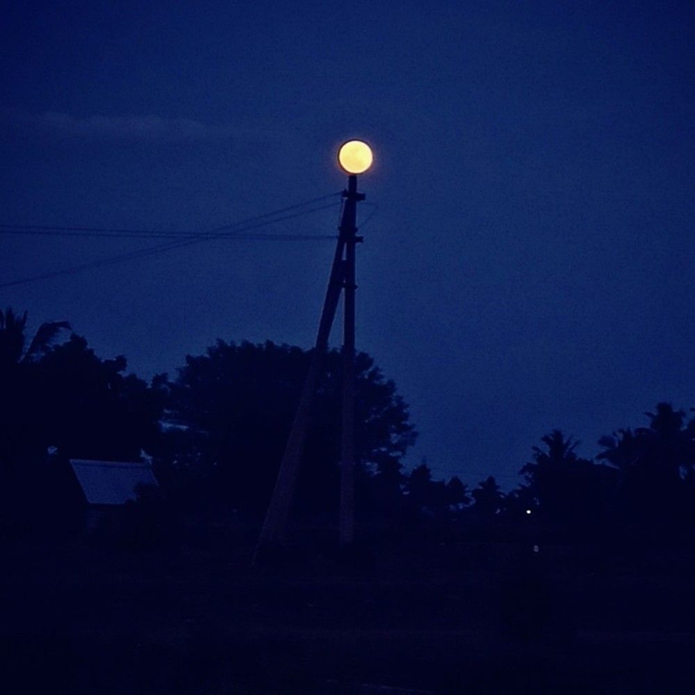 Photograph by S.Pavithra