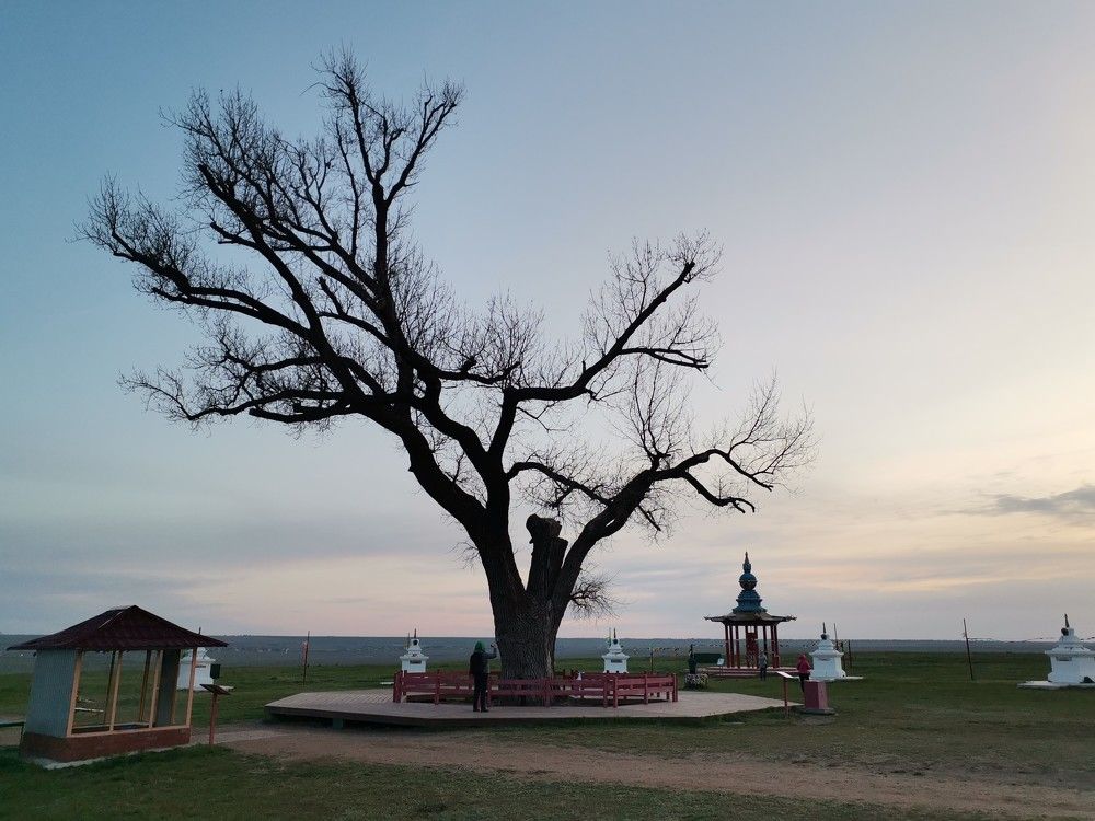 Photograph by Лариса Андреева