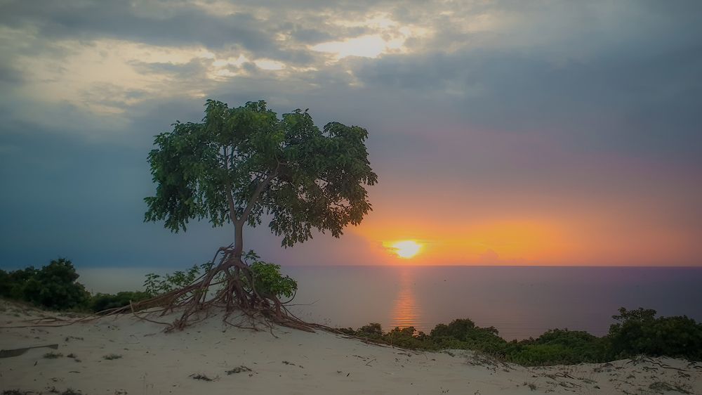 Photograph by Сергей Богданов