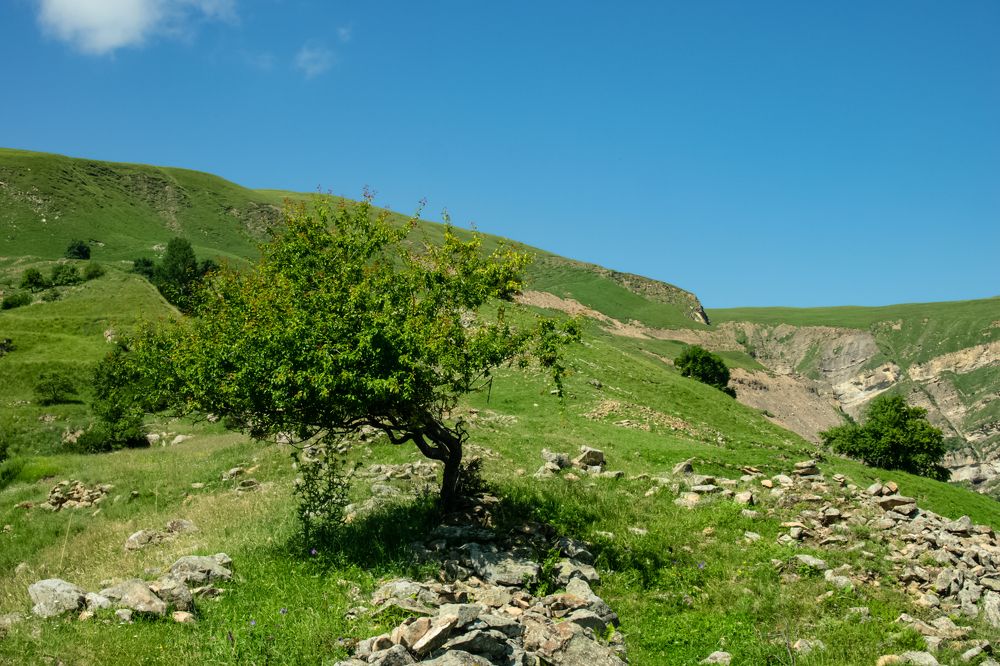 Photograph by Vladimir Rybalko