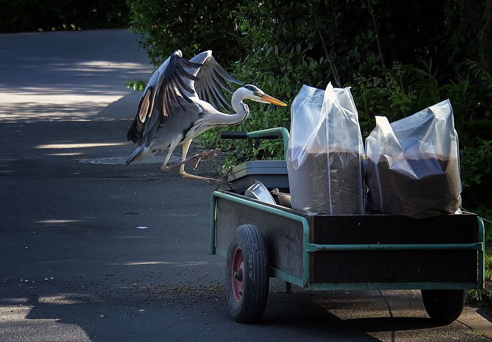 Фотография автора Александр
