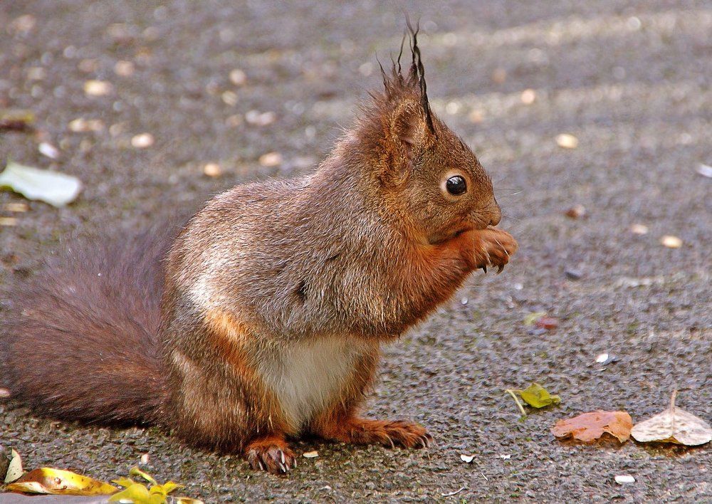 Фотография автора Александр