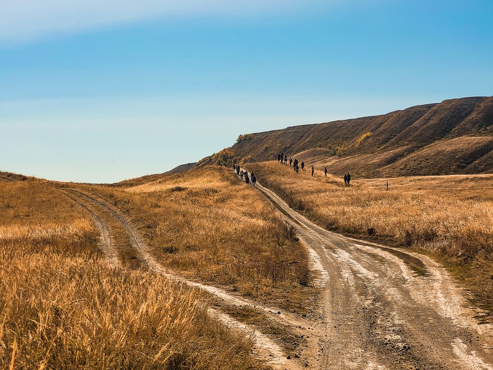 Photograph by Алла Никушкина