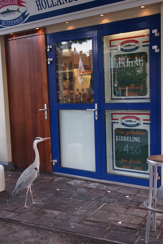 Photograph by Vladimir Rybalko