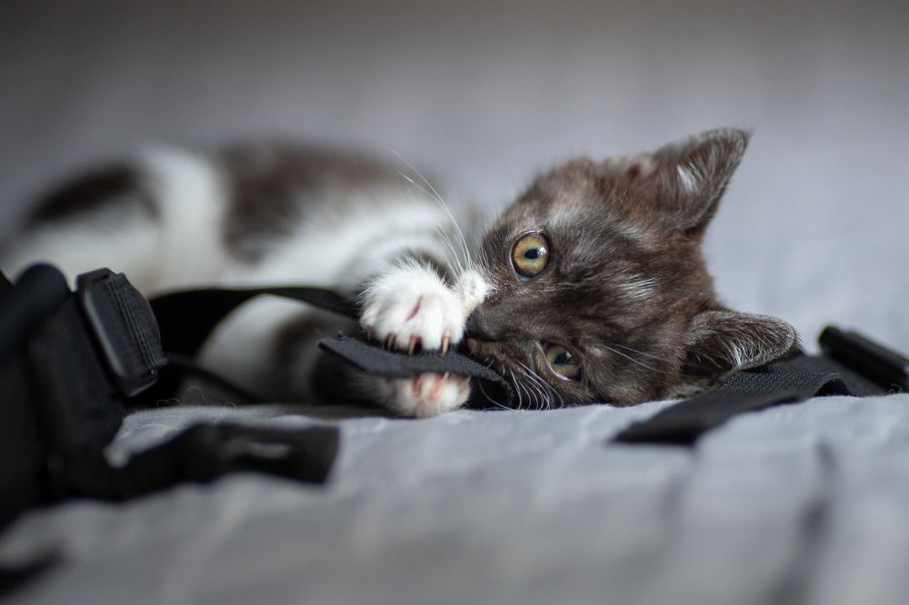 Photograph by Антон Скоморохов