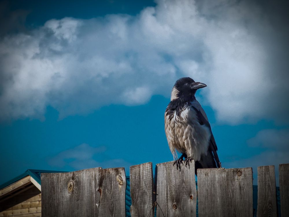 Photograph by Konstantin Martynov