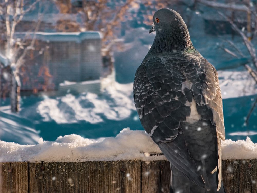 Photograph by Konstantin Martynov