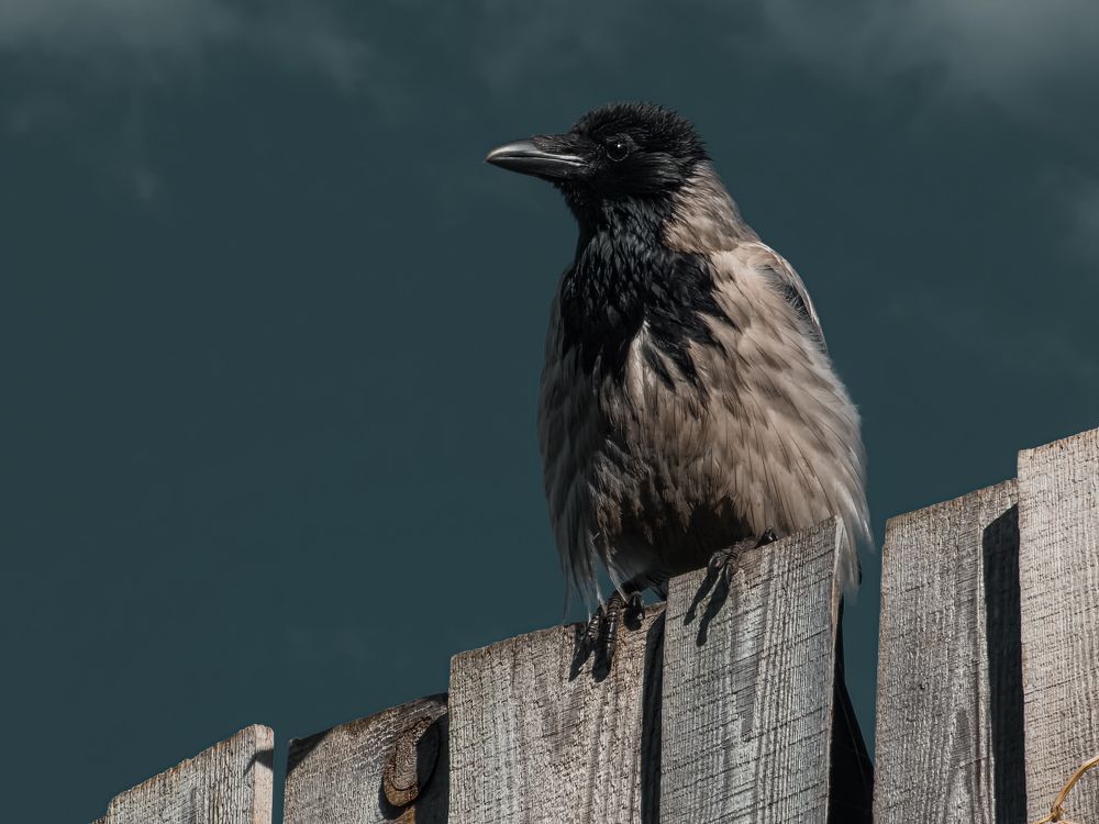 Photograph by Konstantin Martynov