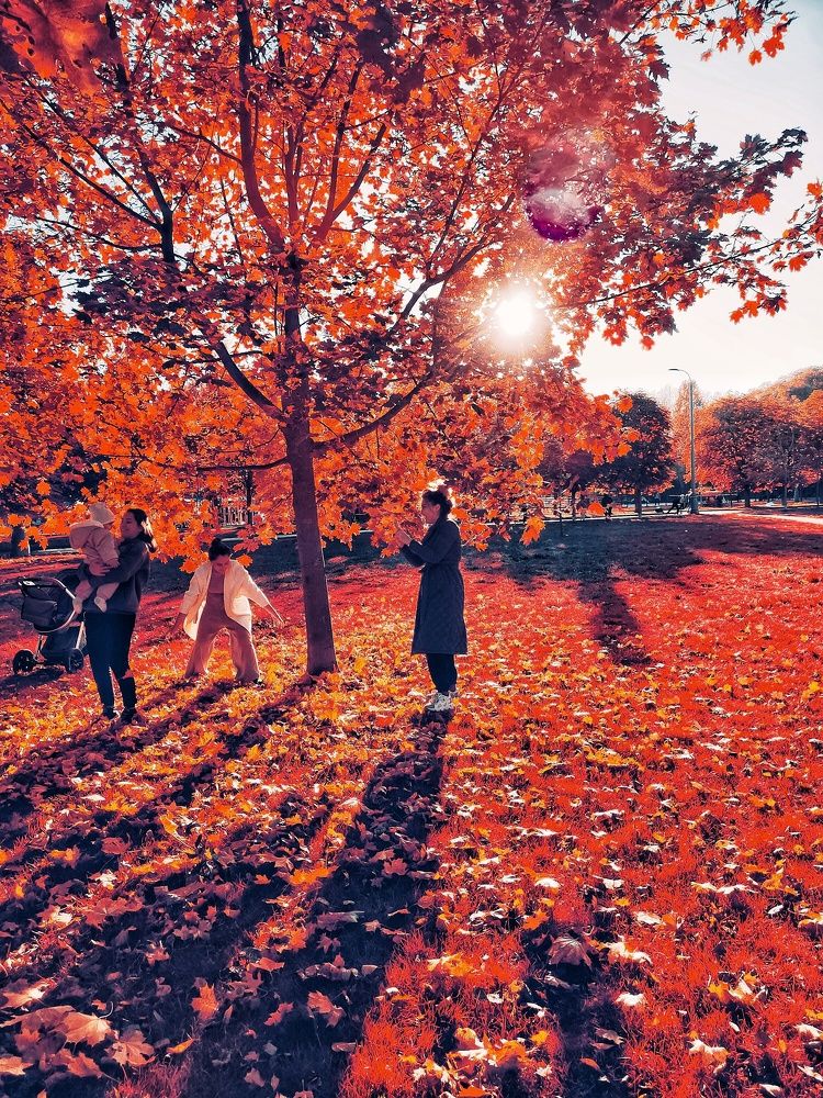 Photograph by Елена Третьякова