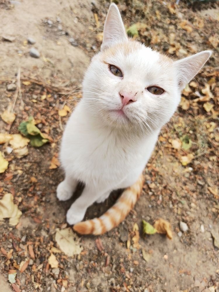 Photograph by Nik Vavilov