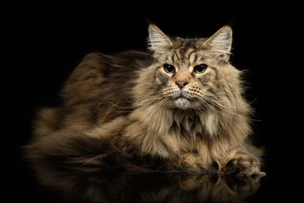 Photograph by Yuri Boichenko