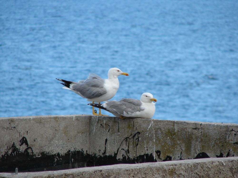 Photograph by Александр Гришин