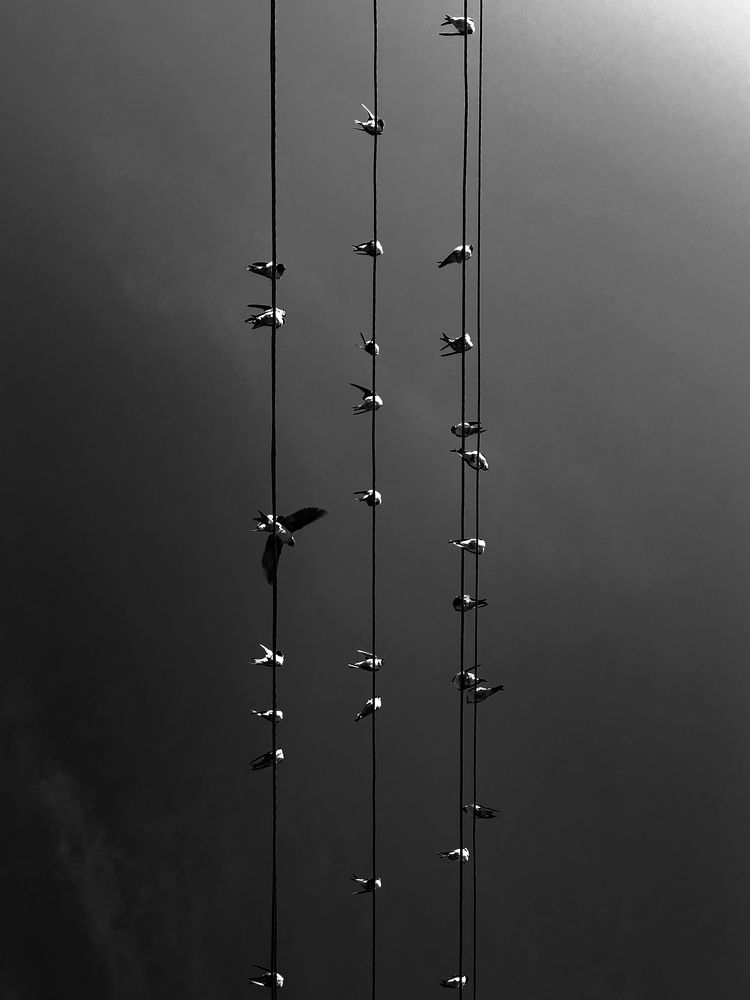 Photograph by Евгений Шуст