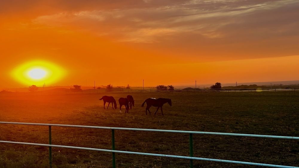 Photograph by Ксения Привалова