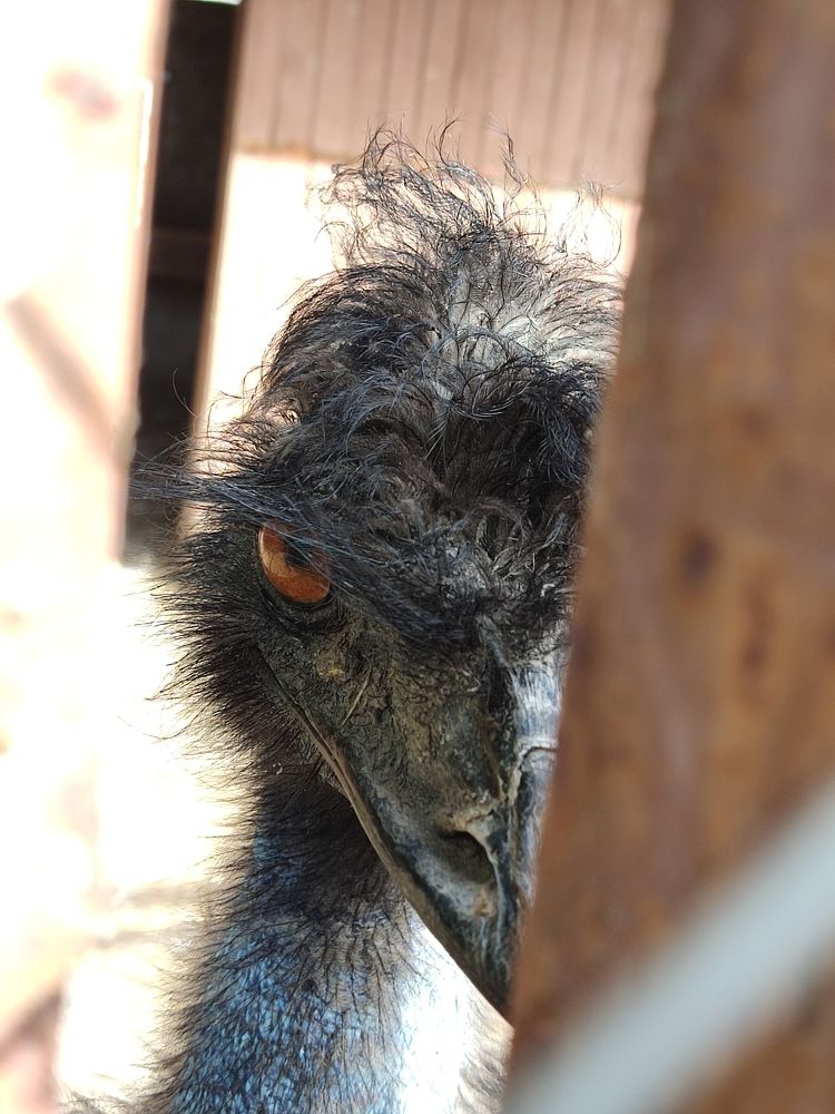 Photograph by Иван