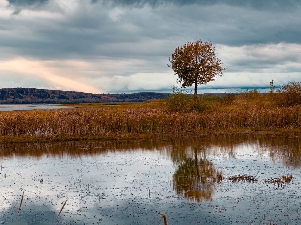 Photograph by Evgenia Privalova