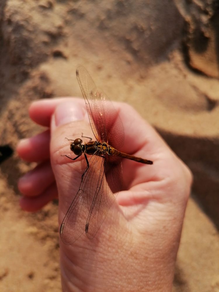 Photograph by Елена Сиднина