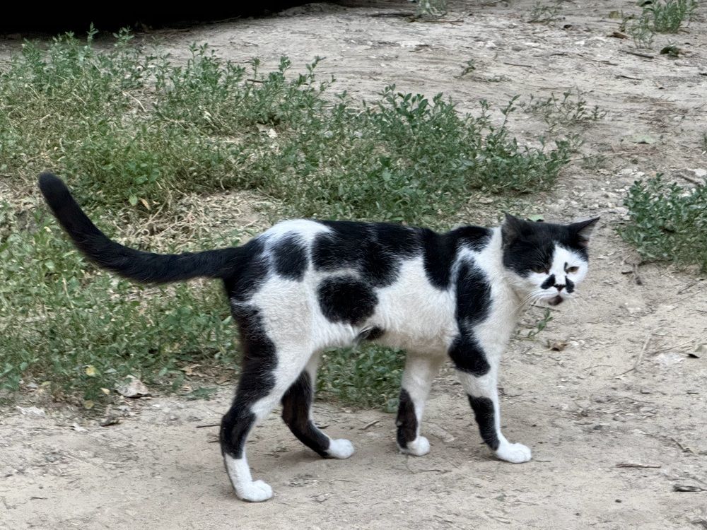 Photograph by Sergei