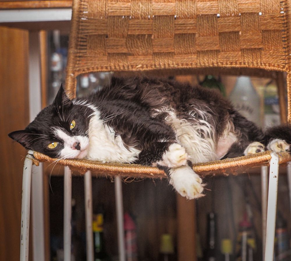 Фотография автора Camilo Rojas