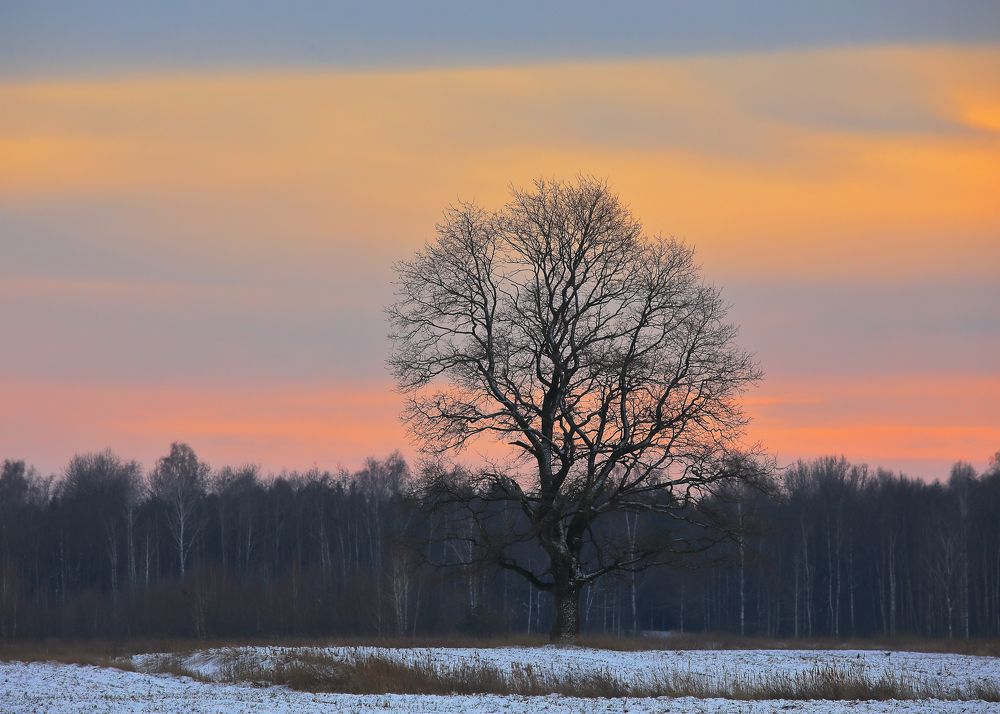 Photograph by Николай Протасеня