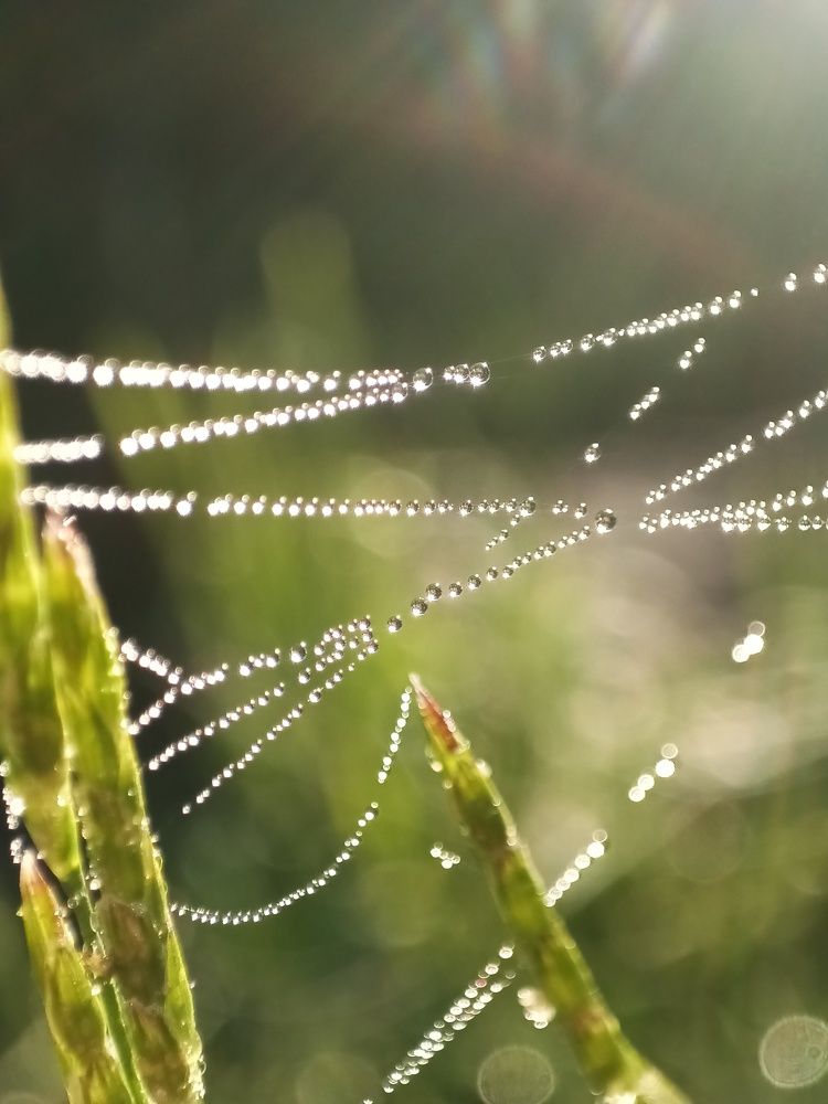 Photograph by Валерий Гудков