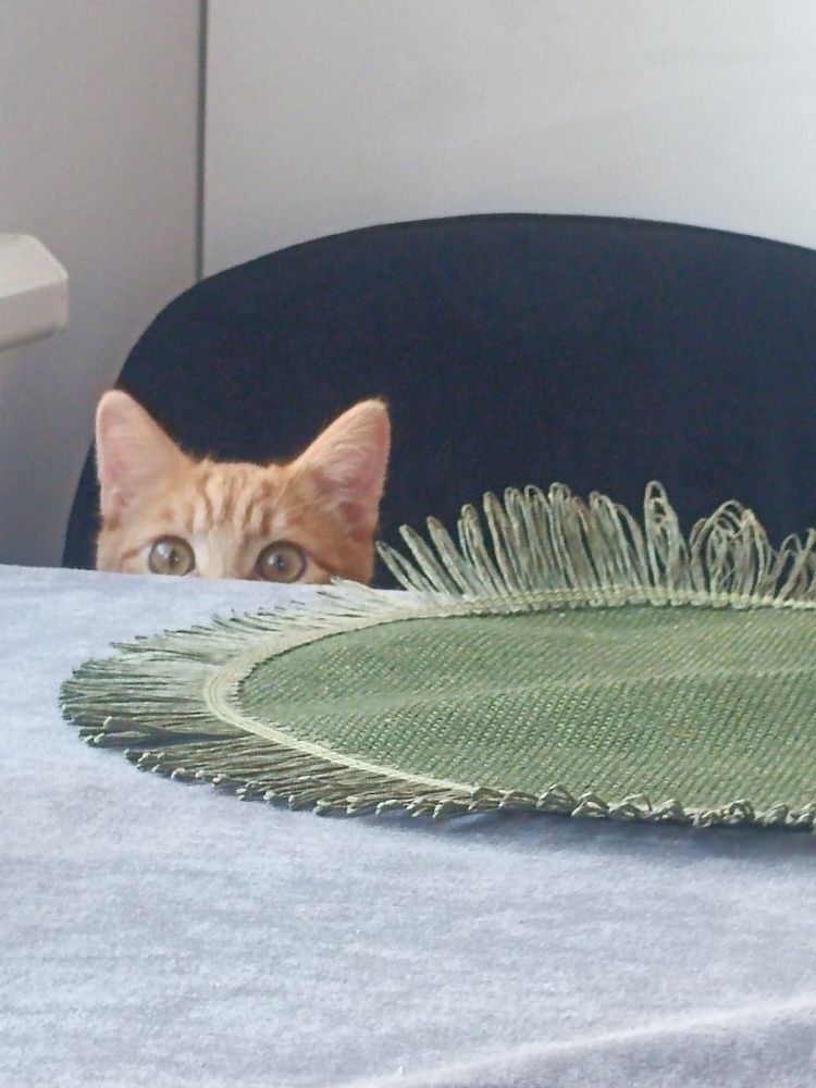 Photograph by Валерий Гудков