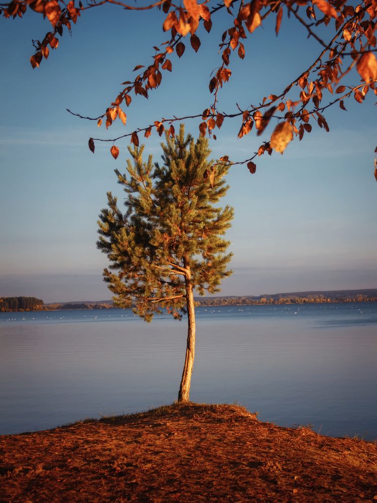 Photograph by Tatsiana Sialiuk