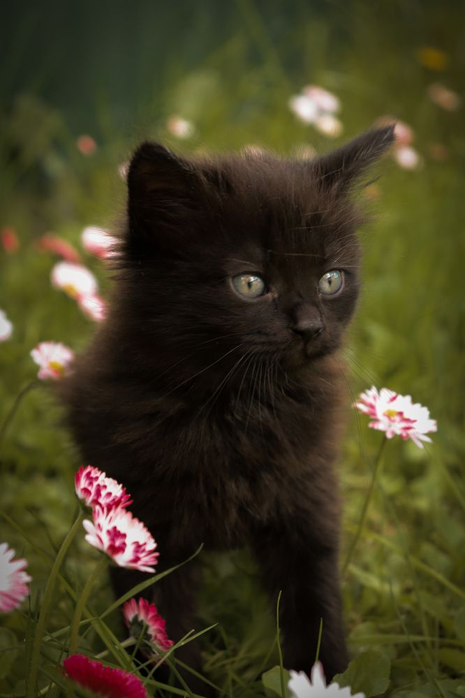 Photograph by Анастасия Селява