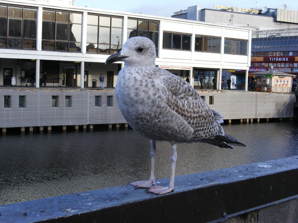 Photograph by Pjotr Alekseev