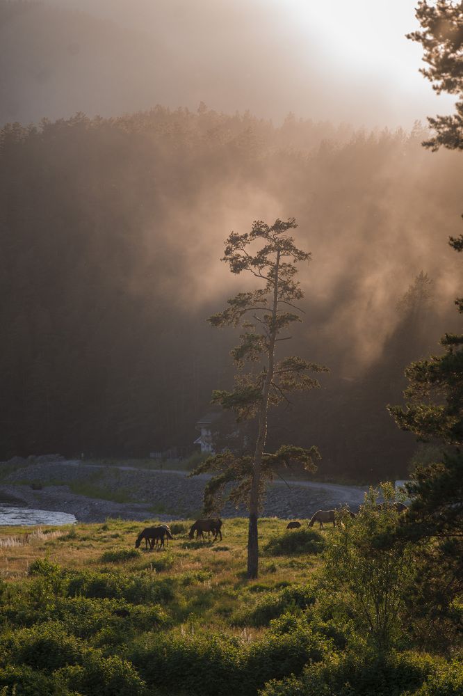Фотография автора Алексей Хаммер