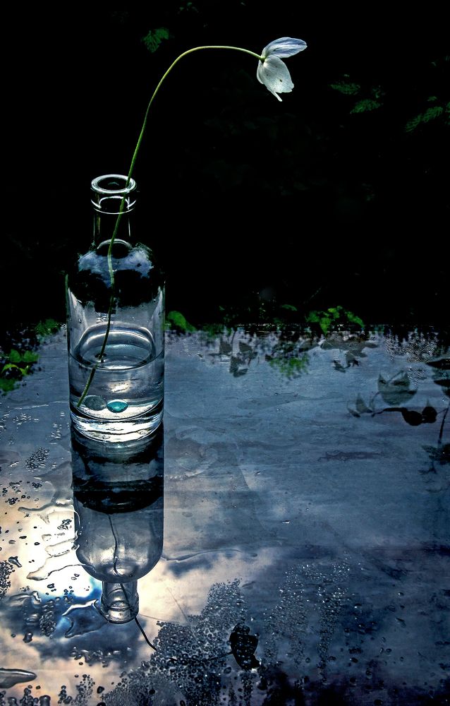 Photograph by Вячеслав Лычков