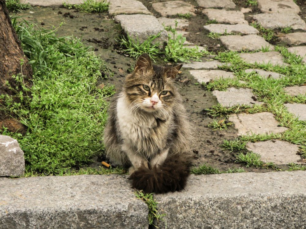 Photograph by Елена Третьякова