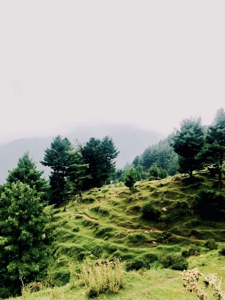 Photograph by Muhammad Faraz