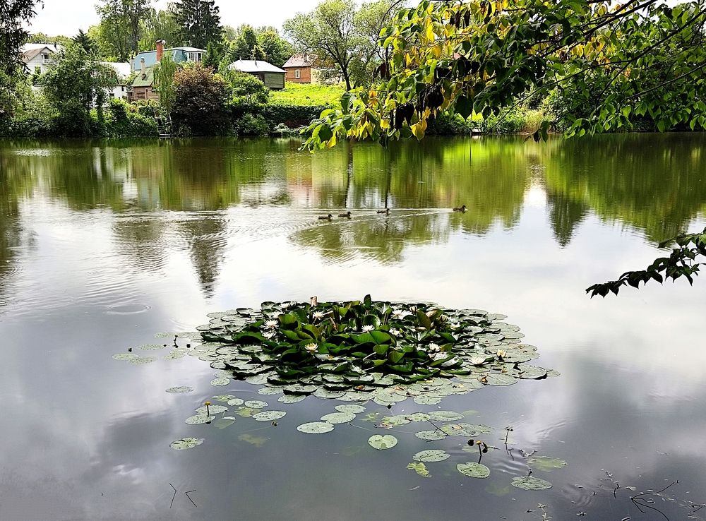 50 оттенков зелени Июня